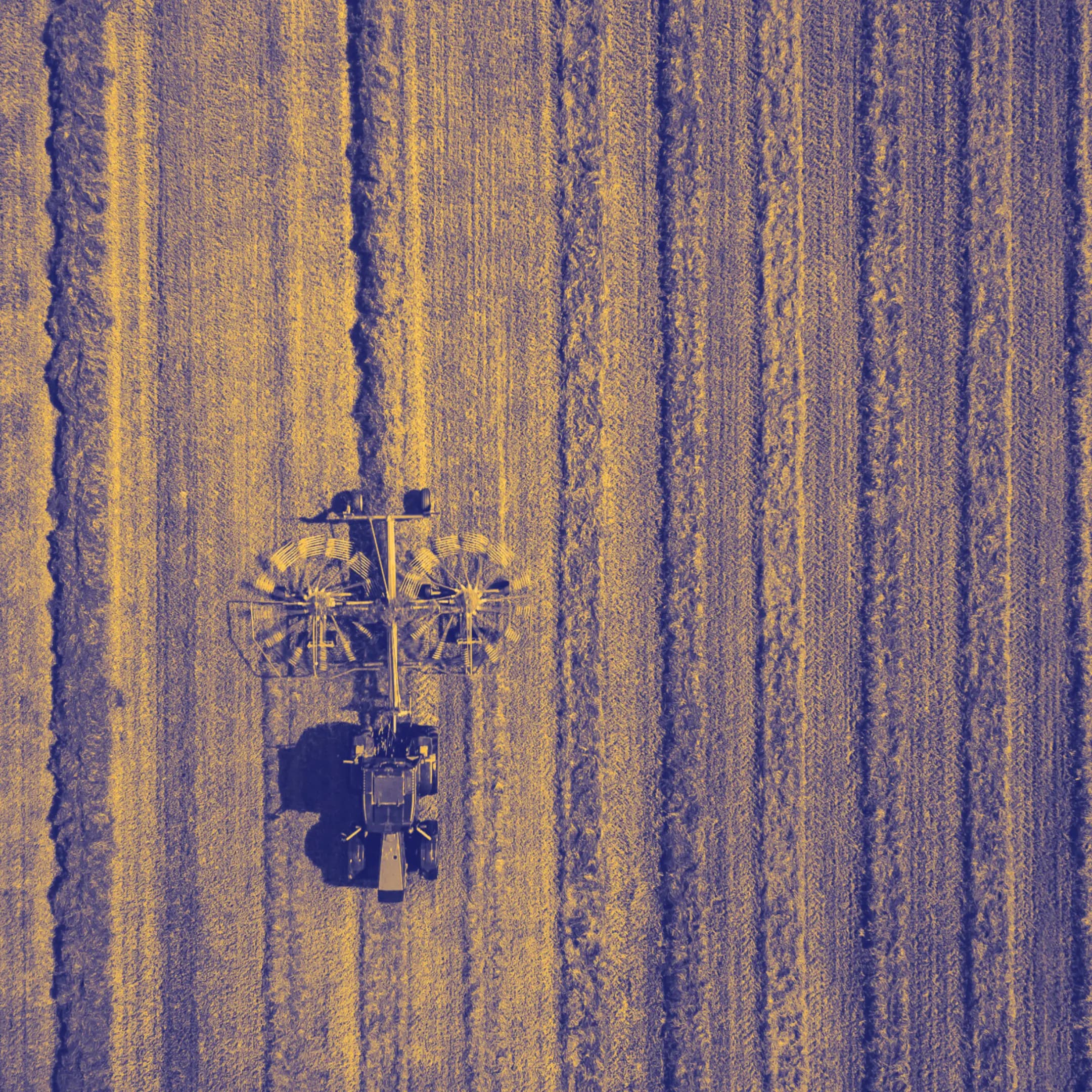 agriculture